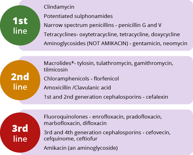 Critically Important Antibiotics Cias Scotland S Healthy Animals